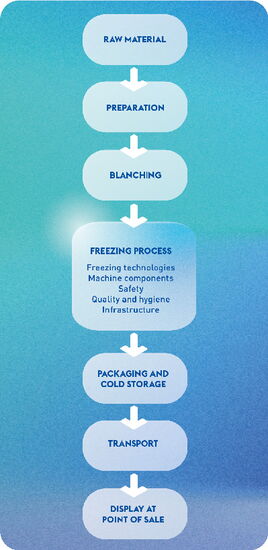 VALUE CREATION CHAIN OF THE FOOD FREEZING PROCESS